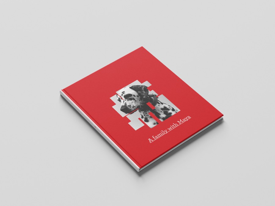 A family with Maya project cover